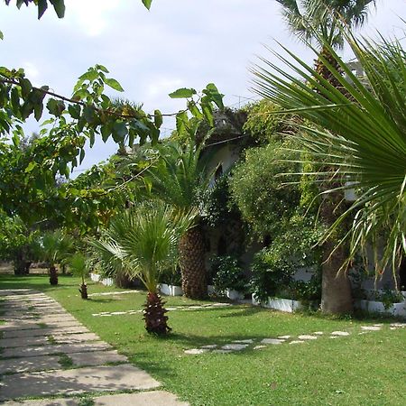 Damnoni Paradise Extérieur photo