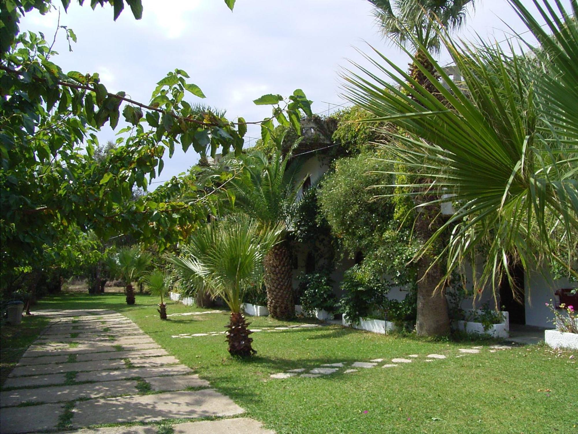 Damnoni Paradise Extérieur photo